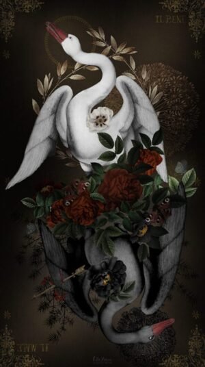 TENTURE 250 IL BENE IL MALE